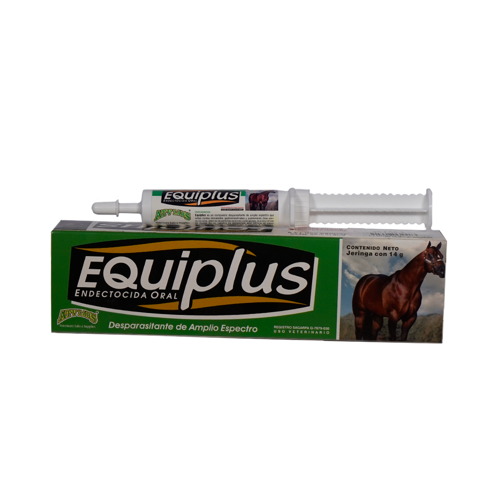 equi plus 1